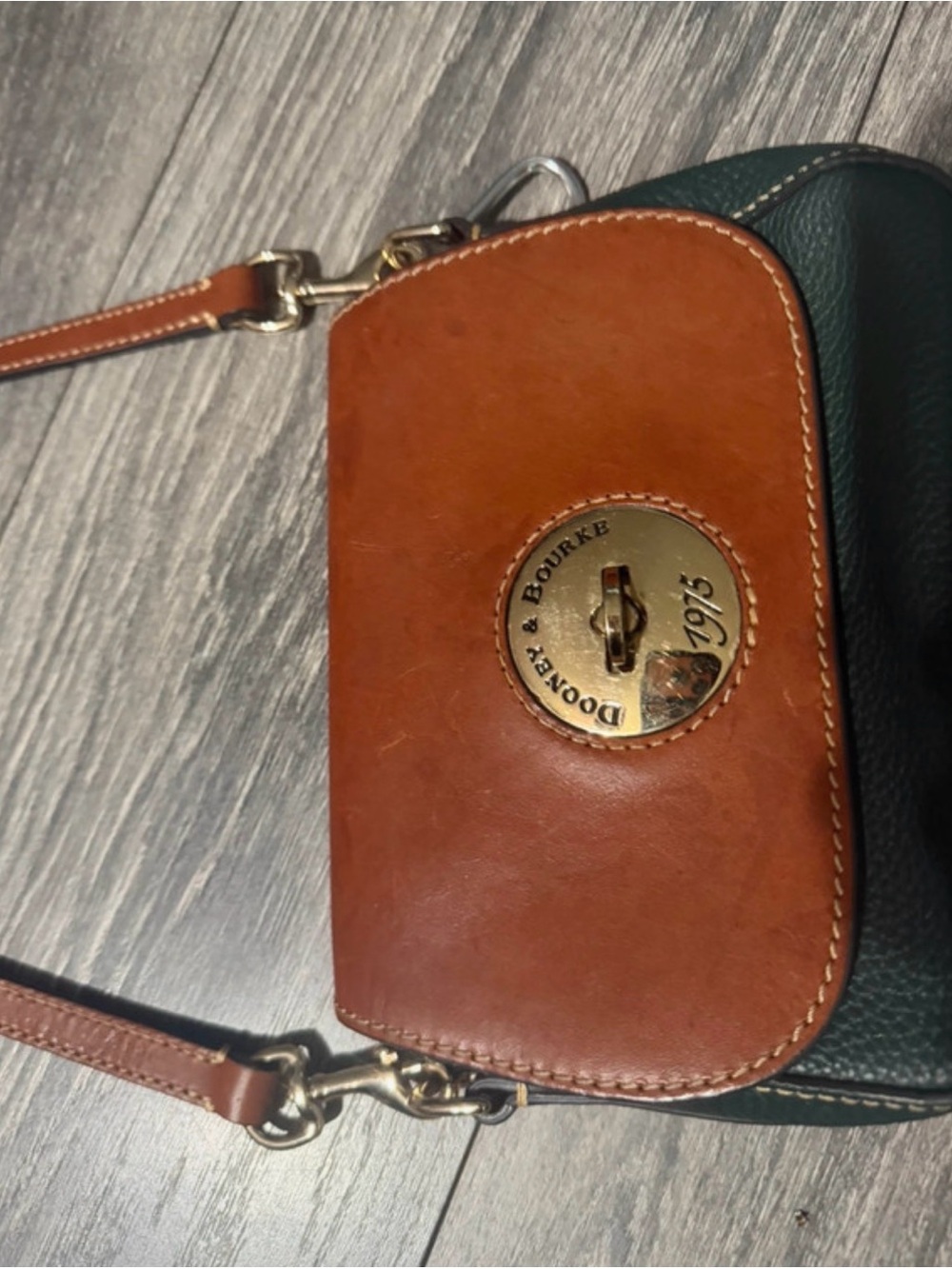 Dooney & Bourke Brown & Dark Green Leather Crossbody Messenger